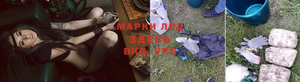 винт Армянск