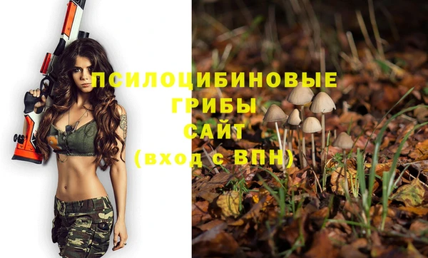 mix Аркадак