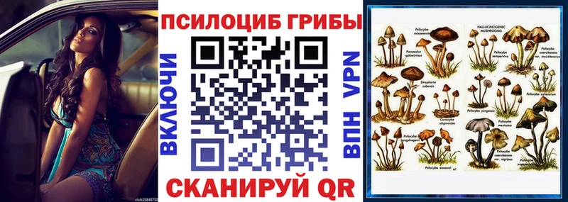 Галлюциногенные грибы мицелий  Кондопога 